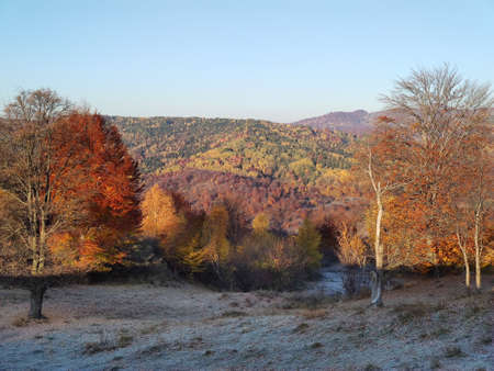 Autumn landscape with colorful trees on a sunny day in the mountainsの写真素材