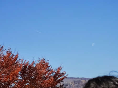 Autumn leaves on the background of the blue sky and the moonの写真素材