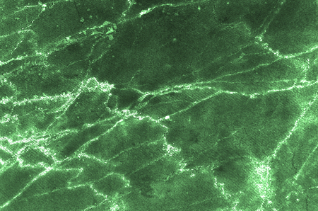black and green natural marble pattern texture backgroundの写真素材
