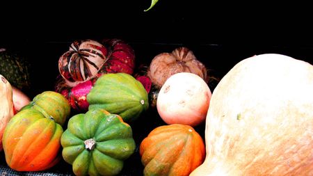 Assortment of squashの写真素材
