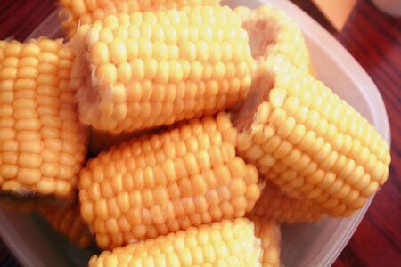 Plate of corn on the cobの写真素材