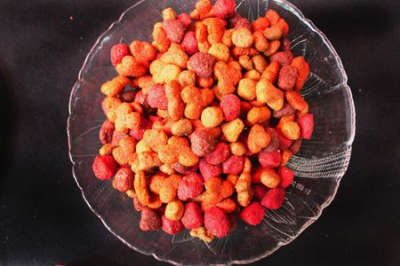 Dry dog food in bowlの写真素材
