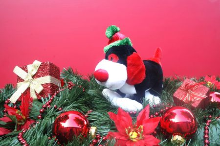 Christmas dog decorationの写真素材