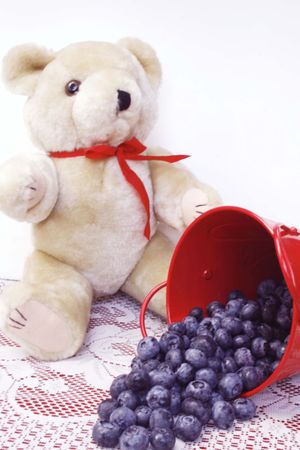 Pail of blueberries with teddy bearの写真素材