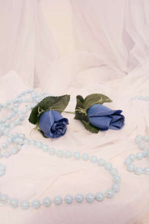 Two blue roses with beads on whiteの写真素材