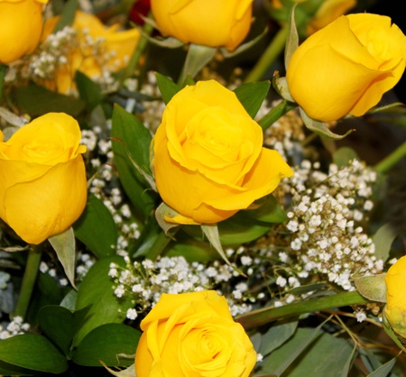 Bouquet of yellow rosesの写真素材