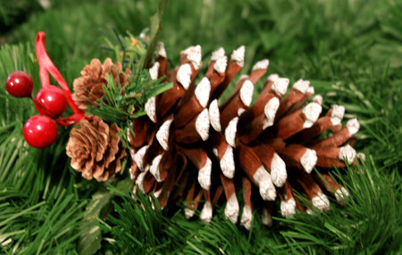 Christmas decoration of pine cone, berries