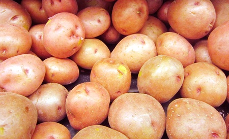 Box of red potatoesの写真素材