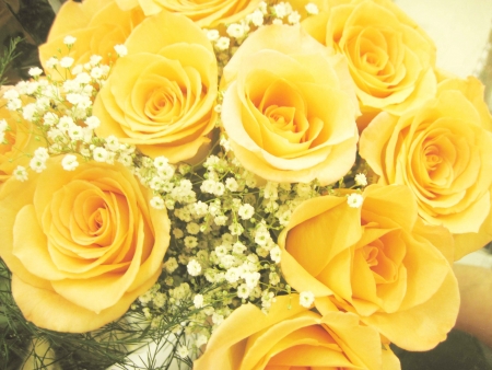 Beautiful bouquet of yellow roses with baby breathの写真素材