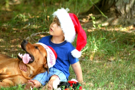 Little boy wiith dog both wearing Santa hatsの写真素材