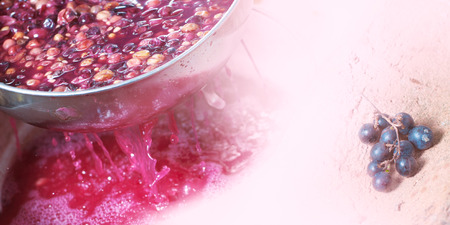 Making red wine. Percolating red wine.の写真素材