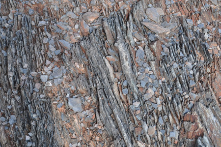 Dreamy Draw Arizona, Slate Rock