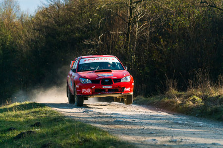 Lviv, Ukraine - November 1, 2015: Racers Oleg Sebov and Dmytro Tananevych on the car brand Subaru Impreza WRX STI (No.8) overcome the track at the annual Rally of Galicia, near the city of Lviv, Ukraineのeditorial素材