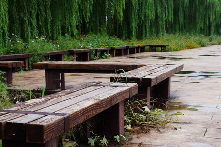 wooden benchの写真素材