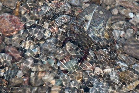 pebbles on the seabed transparent water.の写真素材