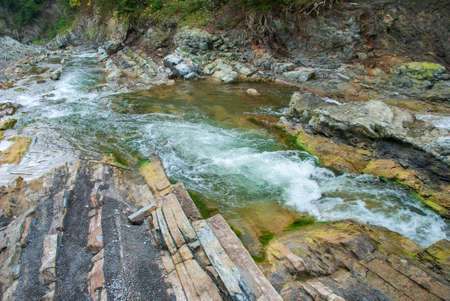 Mountain river flowing through the green forest.の写真素材