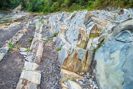 Layers of sedimentary sandstone rock.