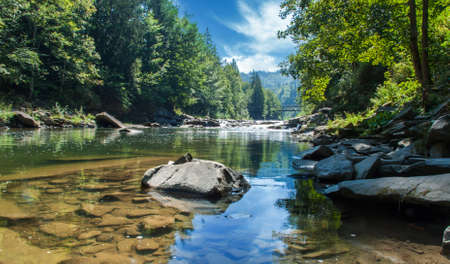 Mountain river flowing through the green forest.の写真素材