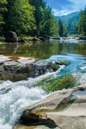 Mountain river flowing through the green forest.の写真素材