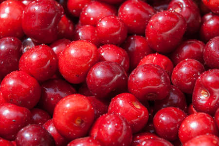 Cherry. Red fresh bunch of cherries on the table.の写真素材
