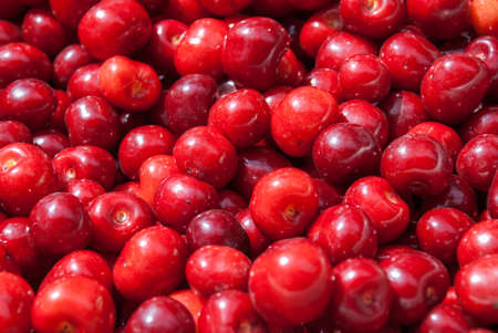 Cherry. Red fresh bunch of cherries on the table.の写真素材