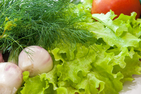 a fresh group of vegetables on white backgroundの写真素材
