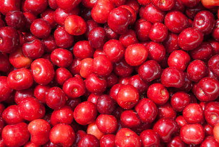 Cherry. Red fresh bunch of cherries on the table.の写真素材