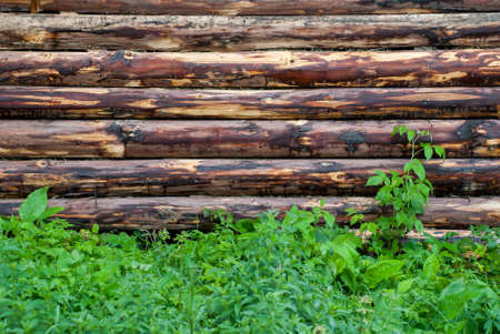 Wooden wall from logs as a background texture.の写真素材
