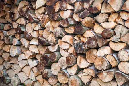 Preparation of firewood for the winter. firewood background, Stacks of firewood in the forest. Pile of firewood.の写真素材