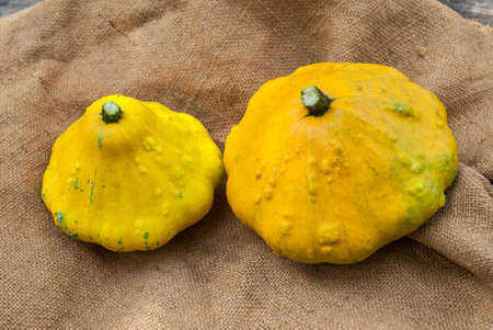 Fresh yellow patissons on old rusty background.の写真素材