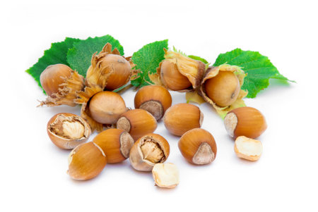 Hazelnuts with leaves isolated on white background.の写真素材