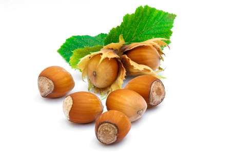 Hazelnuts with leaves isolated on white background.の写真素材