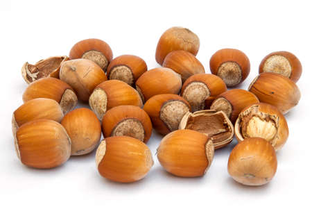 hazelnut heap isolated on white background. Top viewの写真素材