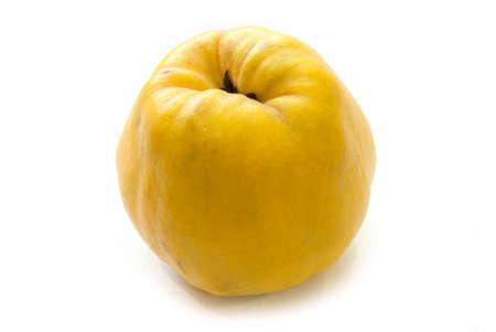 Fresh quince isolated on white background.の写真素材