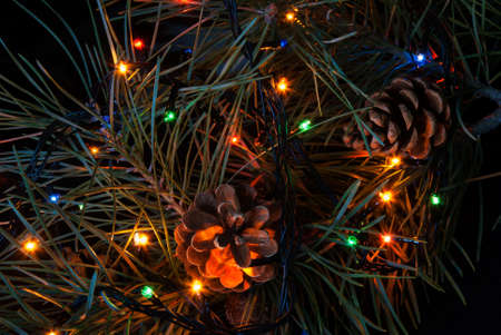 Christmas tree branch and lights.の写真素材