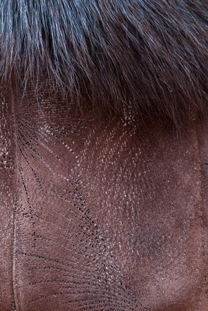 brown and black and white animal fell texture.