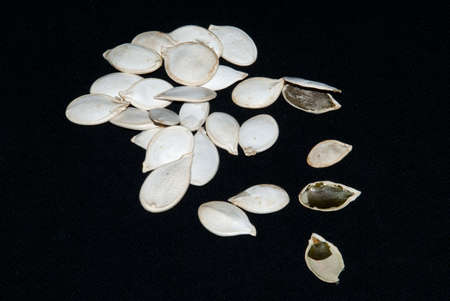 Pumpkin seeds, isolated on black backgroundの写真素材