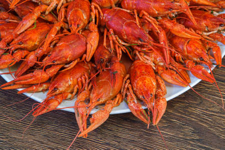 Still life with crayfish crawfish on old wooden background.の写真素材
