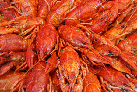 Still life with crayfish crawfish on old wooden background.の写真素材