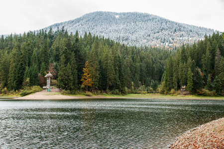 Mountain lake Synevyr panorama autumn.の写真素材