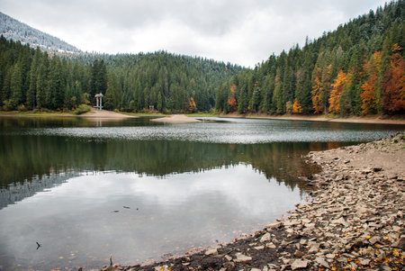 Mountain lake Synevyr panorama autumn.の写真素材