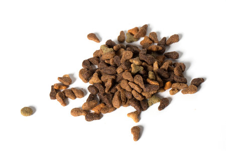 food for dogs isolated on white background.