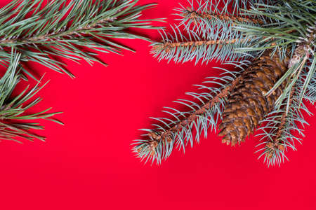 Christmas Tree Decoration Christmas tree lit background.の写真素材