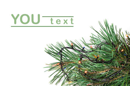 Christmas tree branches border over white.の写真素材