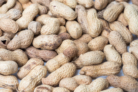 peanut in a shell texture. food background of peanuts.