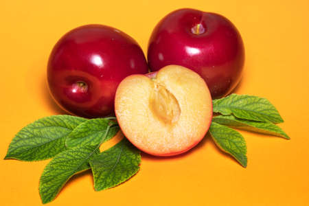 Plum fruit with plum leaf on a yellow background.の写真素材