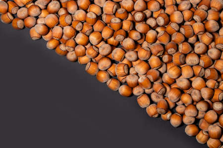 Hazelnuts. Stack of hazelnuts. Food background. Hazelnut on darck background.の写真素材