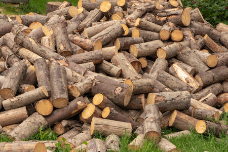 Firewood background - chopped firewood on a stack.