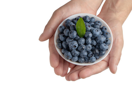 Blueberries in bowl with water drops in hands on white.の写真素材