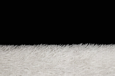 Synthetic fur white texture on black background.の写真素材